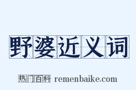 野婆近义词是什么意思的图片